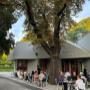 Außenansicht des Café-Restaurant Resselpark Wien mit moderner Architektur und Gastgarten unter Bäumen – ruhige Parklage nahe Karlskirche, ideal für Kaffee, Wiener Küche und gemütliches Verweilen.