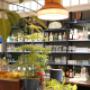 Ansicht der Bar mit Pflanzen, Gläsern und stimmungsvoller Beleuchtung im Café und Restaurant Ponykarussell im Prater Wien.