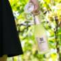 Weingut Greindl | Frizzante Elisa