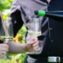 Weingut Greindl | Weingläser mit Weintrauben