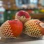 Frische Mango als exotische Frucht bei Alles Frisch am Grünen Markt Brusattiplatz in Baden bei Wien. Perfekt für Smoothies, gesunde Snacks und vitaminreiche Ernährung mit hochwertigen Früchten.