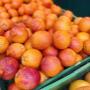 Frische Blutorangen und Zitrusfrüchte bei Alles Frisch am Grünen Markt Brusattiplatz in Baden bei Wien. Vitaminreiche Früchte der Saison für das Immunsystem, gesunde Snacks und frische Zutaten für Smoothies.
