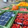 Frische Erdbeeren und Blaubeeren bei Alles Frisch in Baden bei Wien am Grünen Markt Brusattiplatz. Saisonale Beeren voller Vitamine – perfekt für Smoothies, gesunde Snacks für unterwegs und frische Desserts.