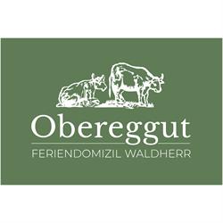 Obereggut - Hof bei Salzburg