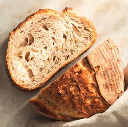 Best Breadstore