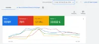 Google Ads Betreuung