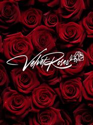Velvet Roses
