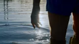 Still 1