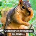 Bewertungen