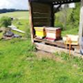 Bewertungen